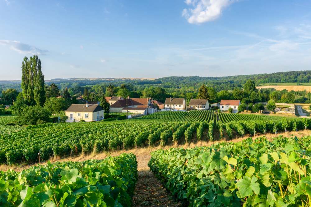 Champagnestreek vriendinnenweekend