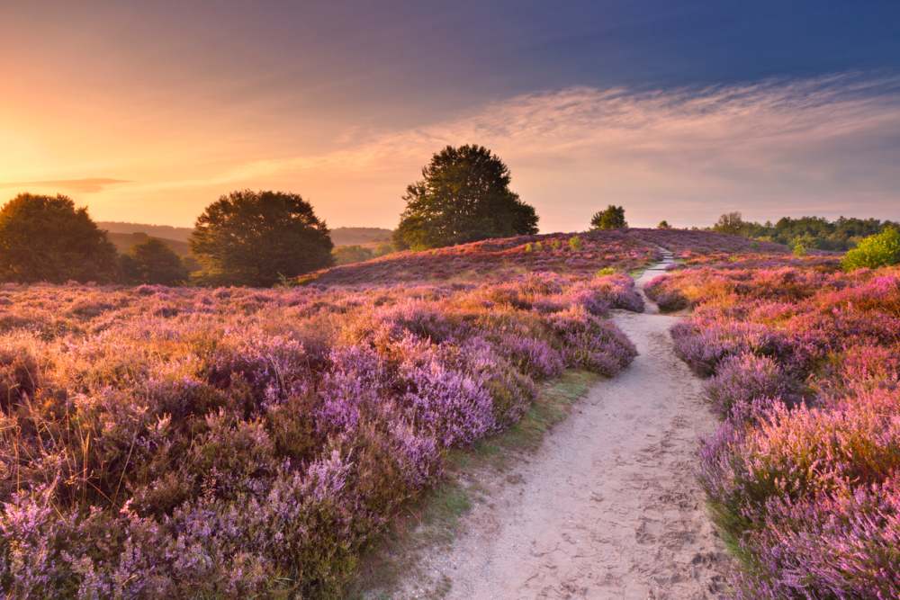 Weekendje naar de Veluwe