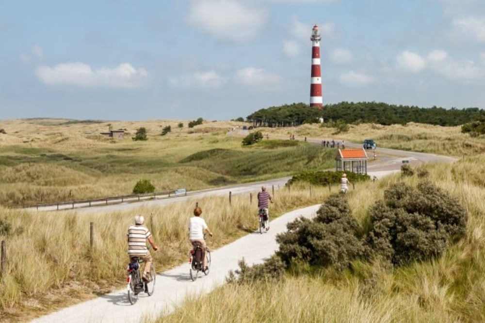 hotel met hond aan zee