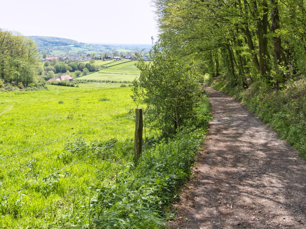 Zuid Limburg pad heuvels groen