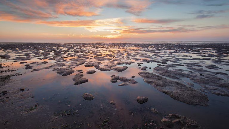 Strand Hotel Vigilante Friesland