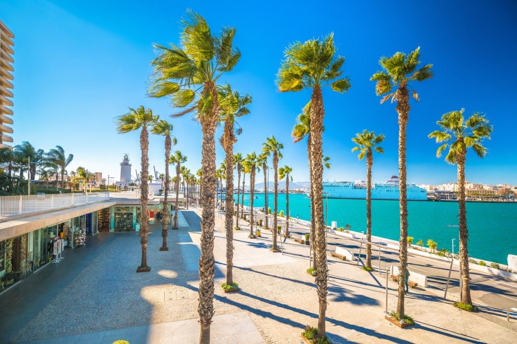 malaga boulevard strand zee palmbomen