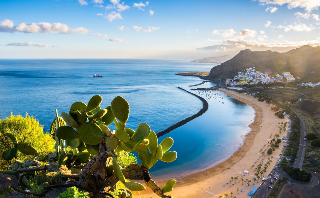 Tenerife strand zee bomen uitzicht