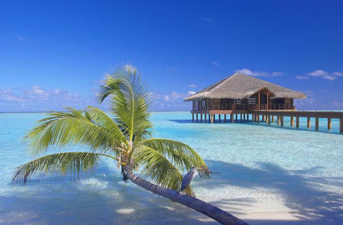 Medhufushi Island Resort Malediven